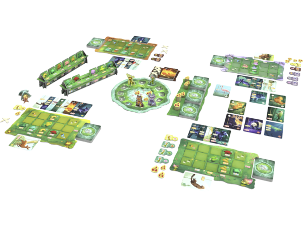 Living Forest – Image 2